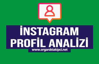 Instagram Profil Analizi