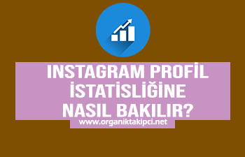 Instagram Profil İstatisliğine Nasıl Bakılır?
