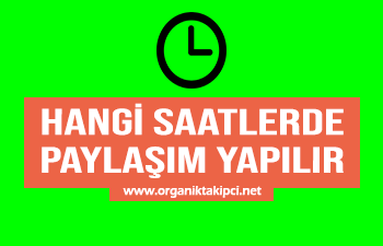 İnstagramda Hangi Saatlerde Paylaşım Yapılır?