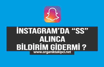 Instagram’da SS Alınca Bildirim Gidiyor mu?