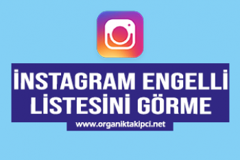 Instagram Engelli Listesi Görme