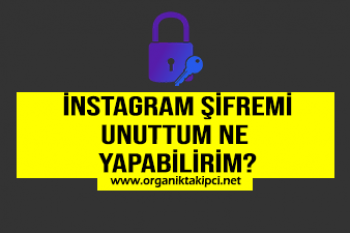 Instagram Şifremi Unuttum Ne Yapabilirim?