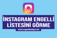 Instagram Engelli Listesi Görme